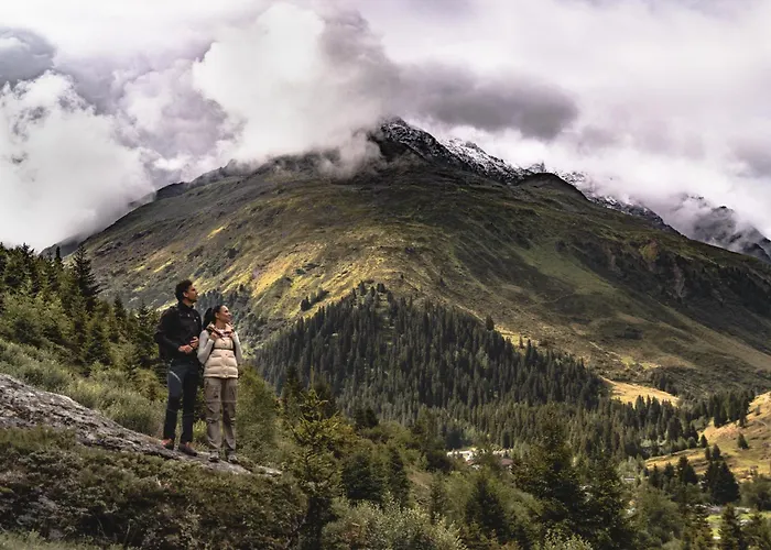 维尔德斯比兹佛沃酒店 4* 皮茨河谷圣莱昂哈德