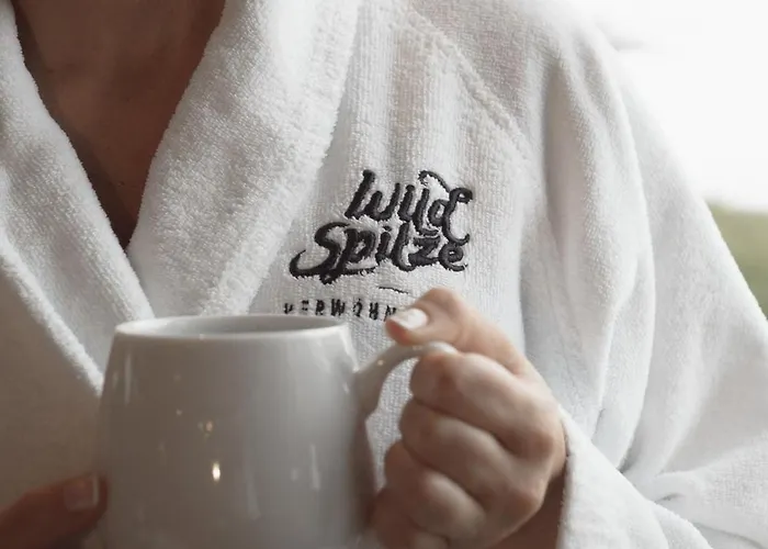 维尔德斯比兹佛沃酒店 4* 皮茨河谷圣莱昂哈德