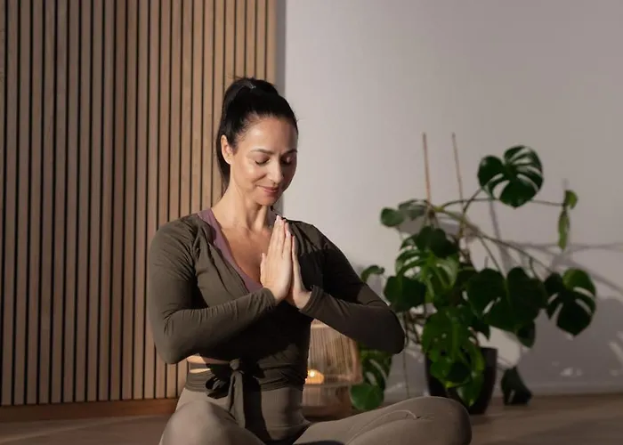 维尔德斯比兹佛沃酒店 4*